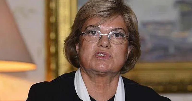 Tansu Çillər Heydər Əliyevdən Türkiyədəki sağçı qüvvələrə görə üzr istəmişdi