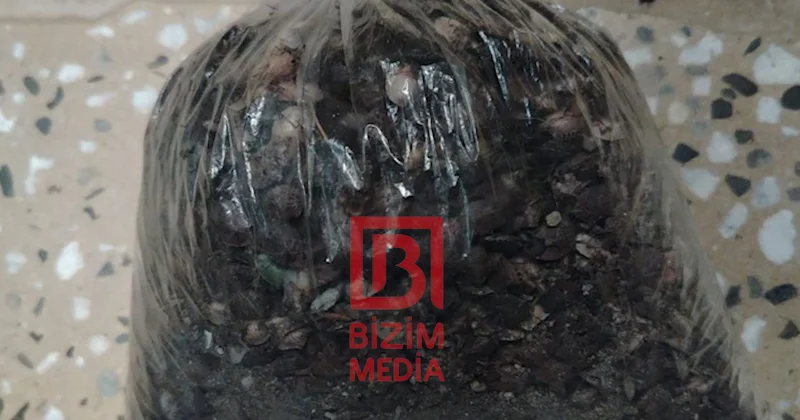 Dağıstanın Azərbaycanla həmsərhəd 5 rayonunda karantin elan edildi FOTO
