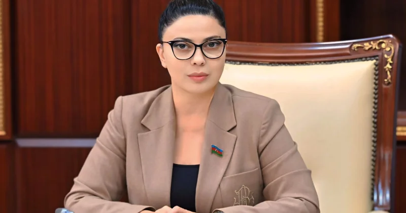 Səbinə Salmanova: Məktəblərin normal iş rejimini pozmaq yolverilməzdir