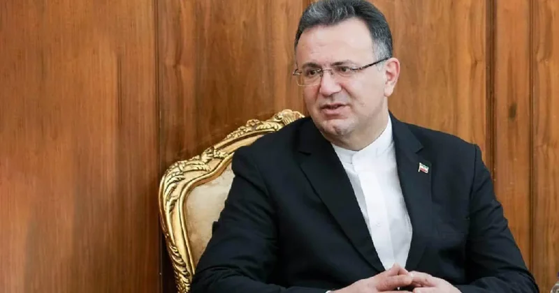 Собаки напали на посла Ирана в Грузии