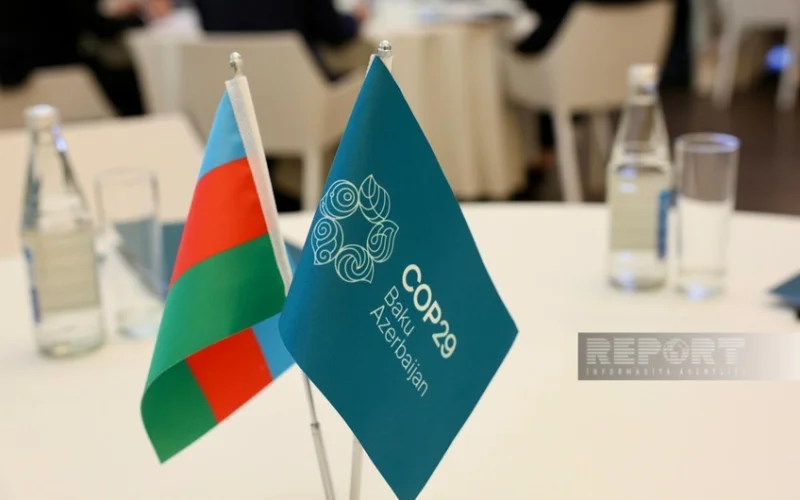 COP29da birinci xanımların iştirakı ilə “Gənclər iqlim fəaliyyətlərinin ön cəbhəsində” mövzusunda konfrans keçirilib