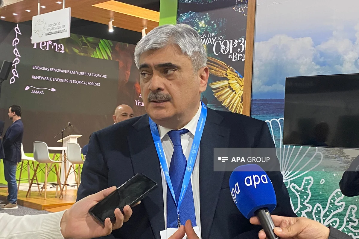 Nazir: COP29 çərçivəsində əsasən iqlim maliyyəsi üzrə məsələlərin həlli nəzərdə tutulur VİDEO