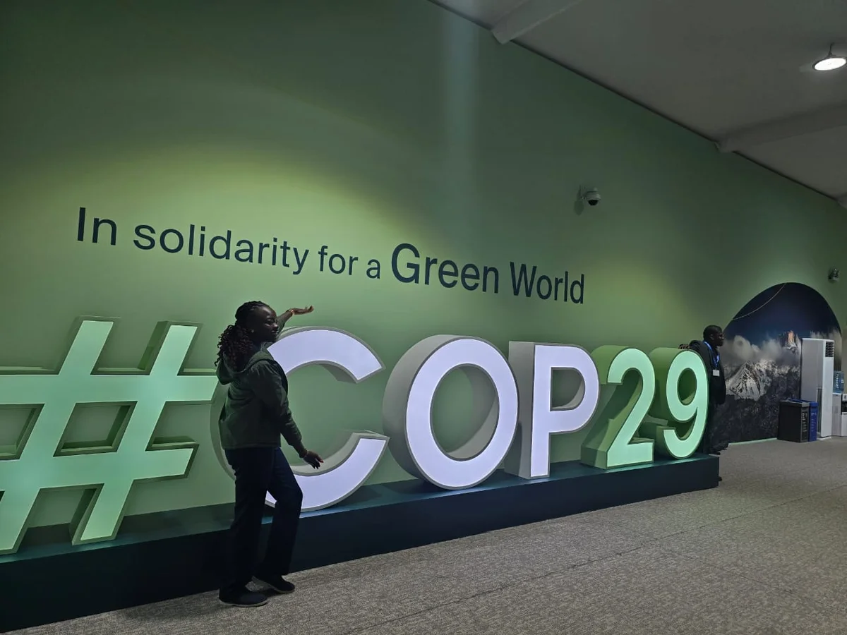 На COP29 согласовали финансирование в $250 миллиардов на климатические проект