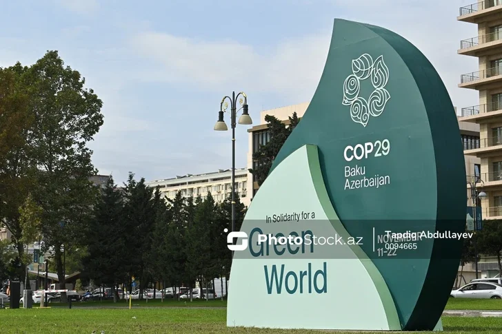 На COP29 проходит акция против колониализма Новости Азербайджана