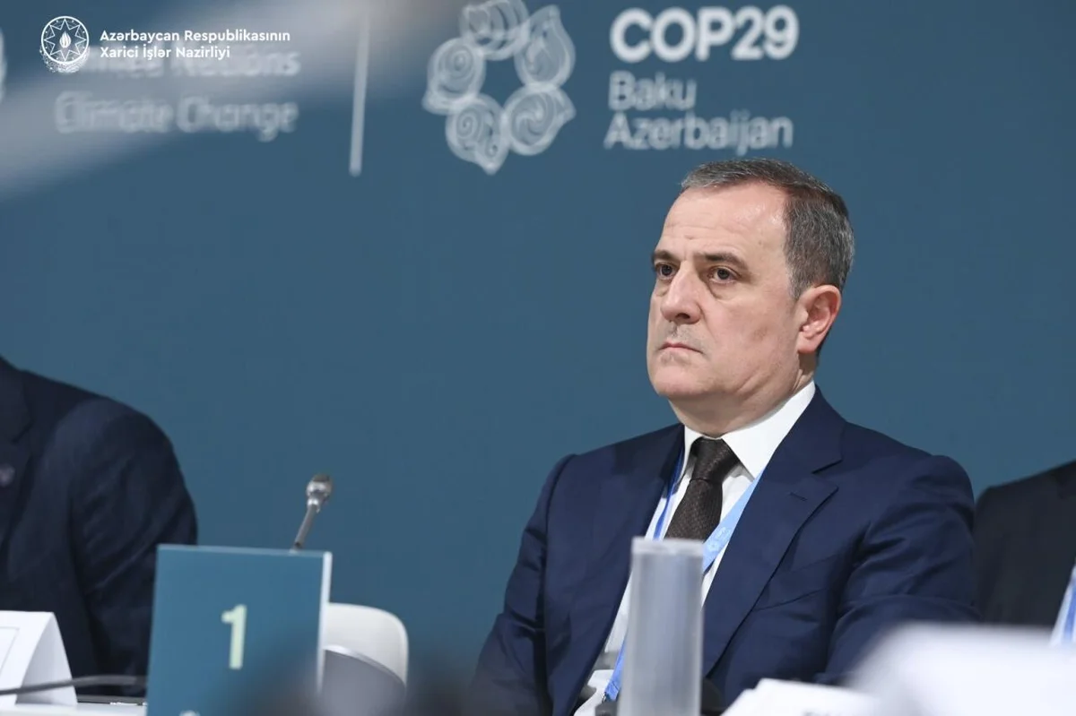 Джейхун Байрамов выступил в рамках COP29 на тему климатического финансирования ФОТО