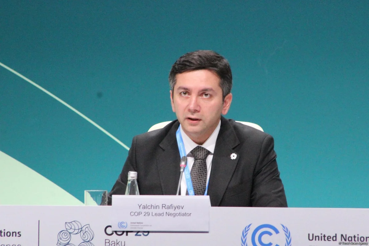 COP29 iqlim dəyişiklikləri ilə bağlı məsələlərin müzakirəsi üçün uyğun məkandır Yalçın Rəfiyev