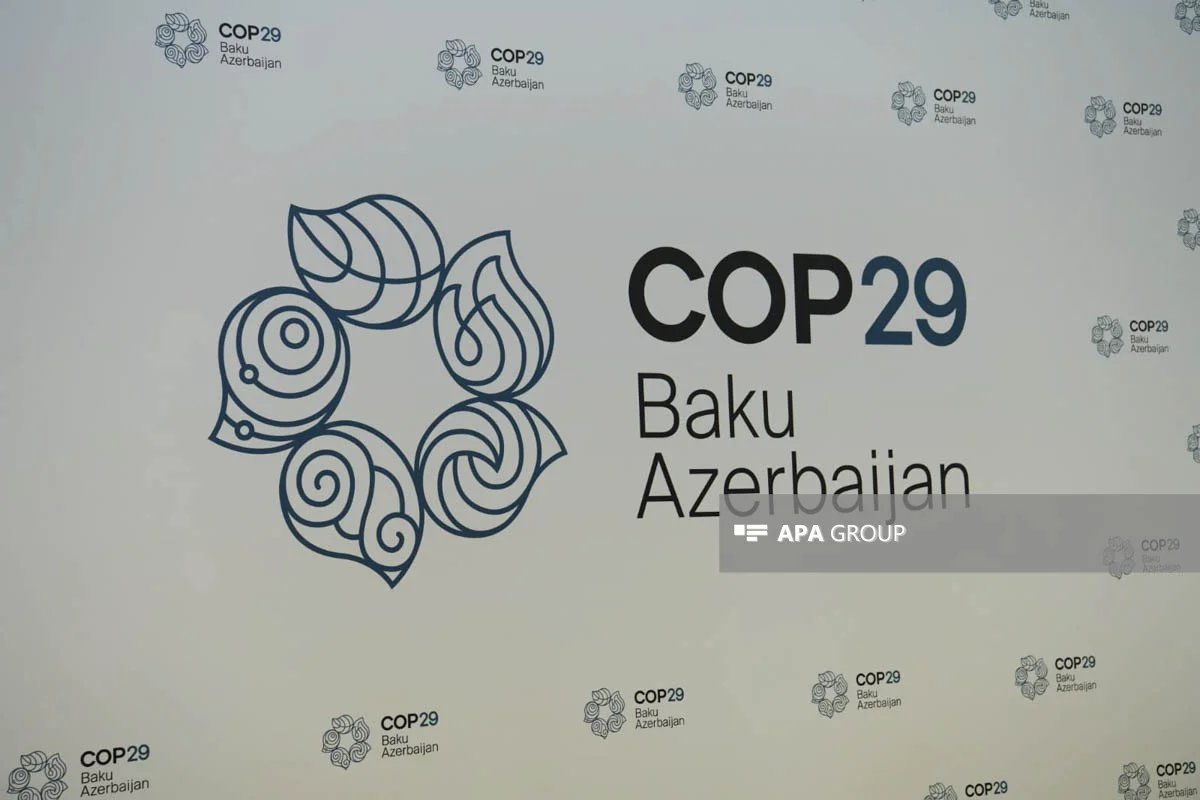 COP29 çərçivəsində Mədəniyyət Nazirlərinin 2ci Yüksək Səviyyəli Görüşü keçiriləcək