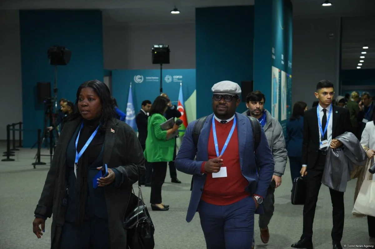 Bakıda keçirilən COP29un ikinci günündən FOTOSESSİYA