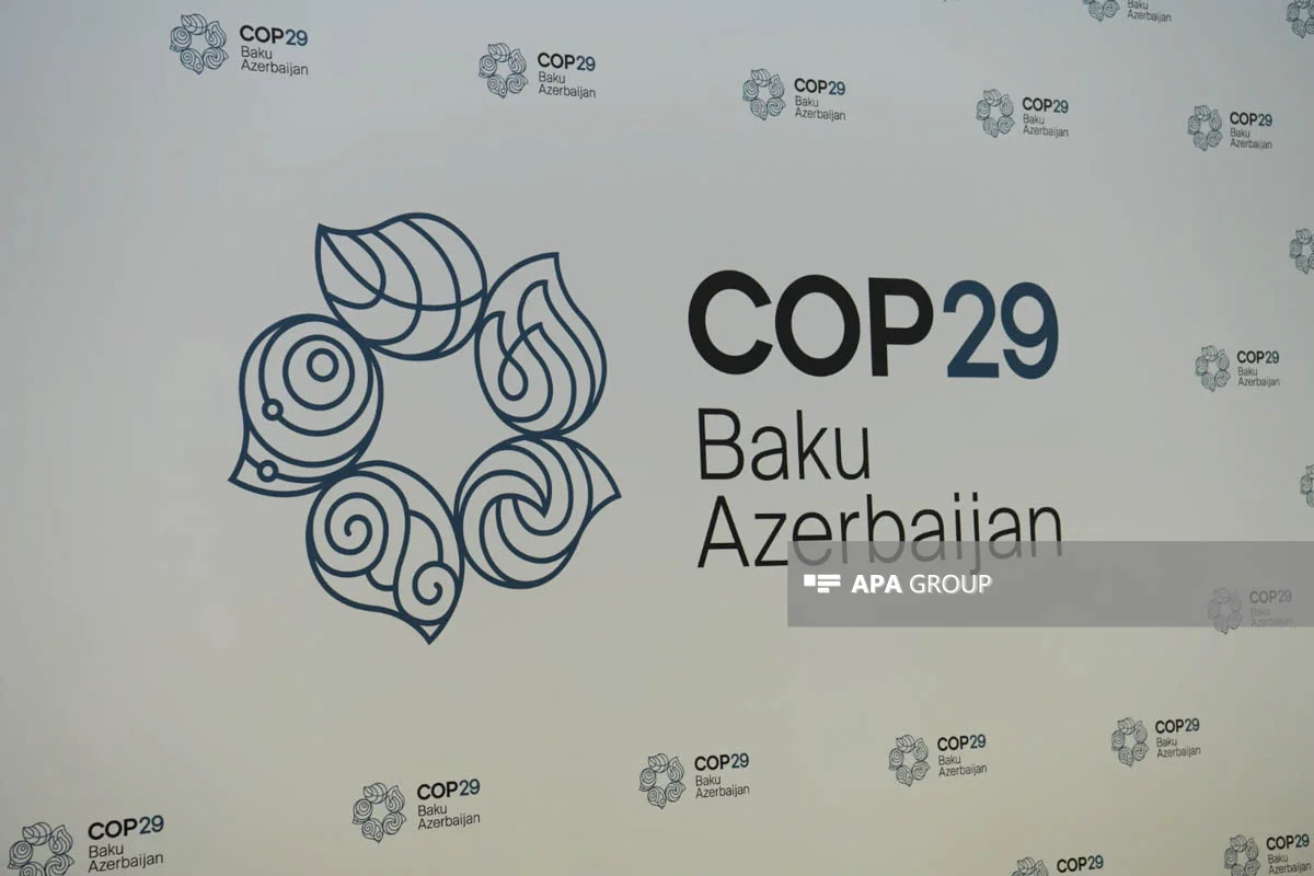 COP29: Mədəniyyət Nazirlərinin görüşü keçiriləcək