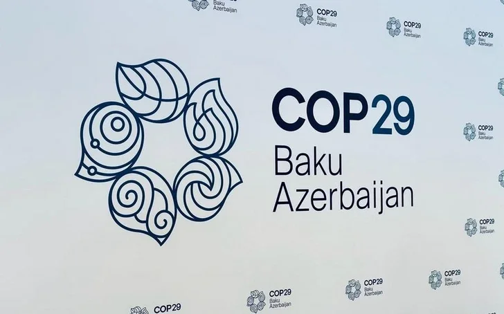 Саудовская Аравия в рамках COP29 запустила первую биржу углеродных кредитов Новости Азербайджана