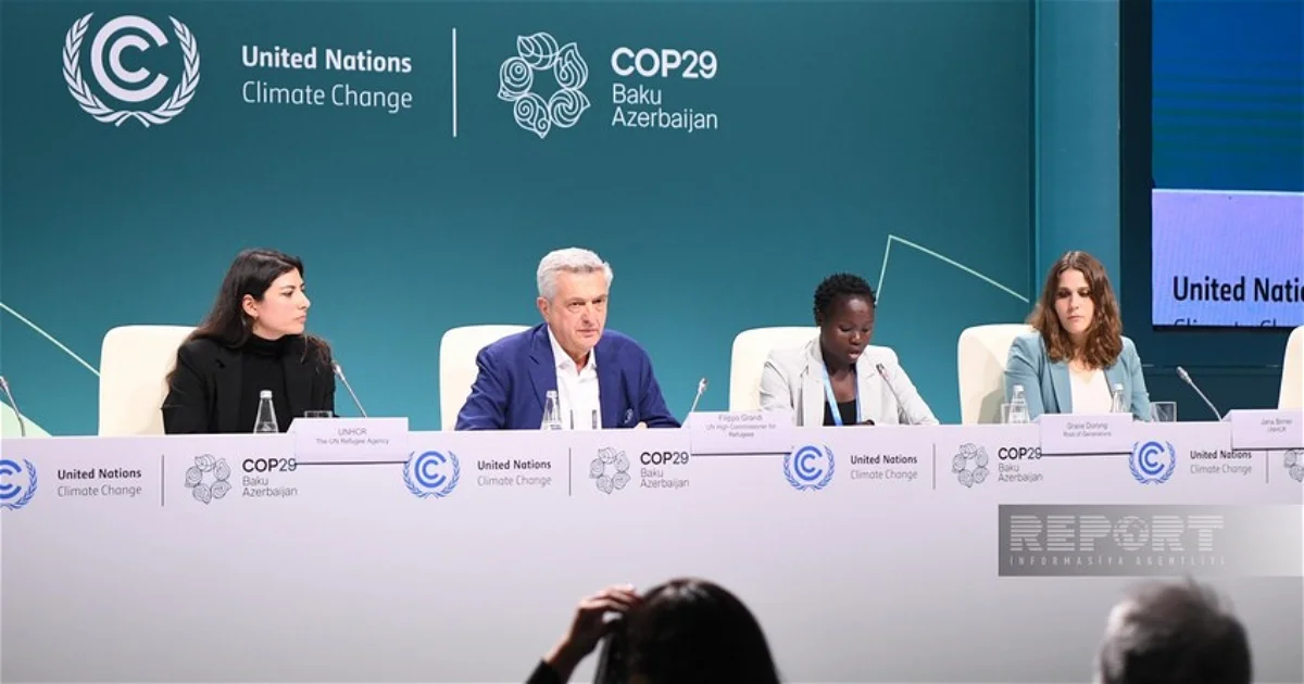 Верховный комиссар ООН на COP29: Нам нужны срочные действия Новости