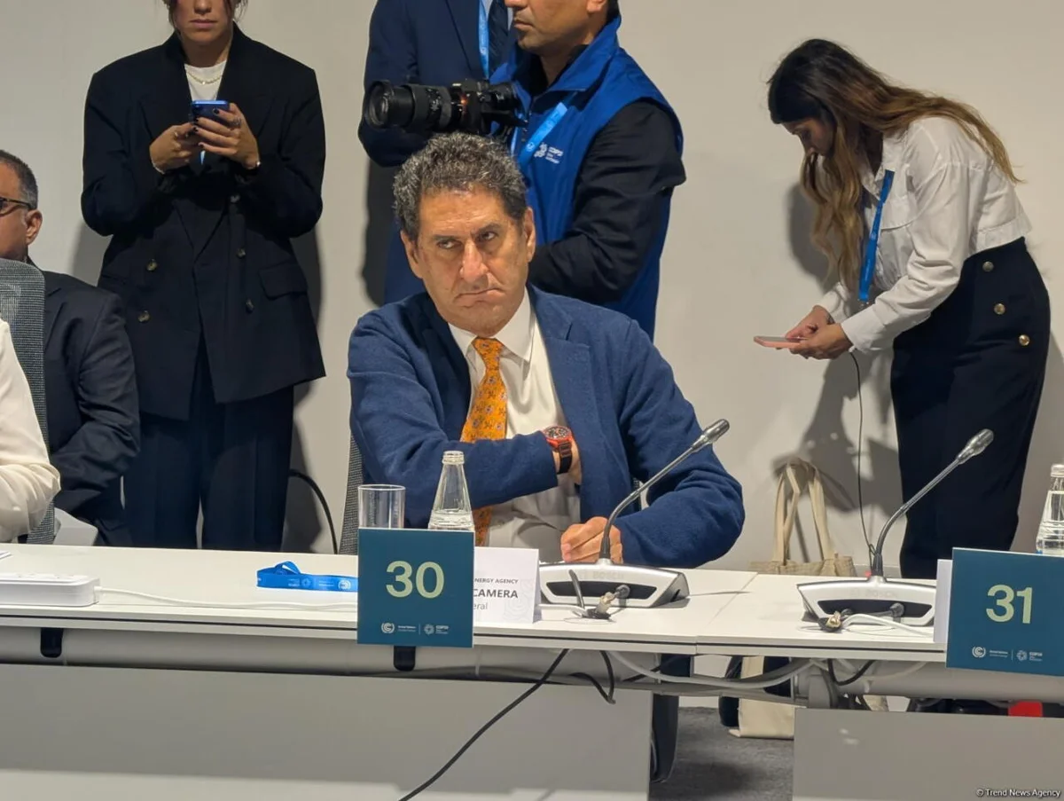 COP29 очень своевременна по двум причинам IRENA