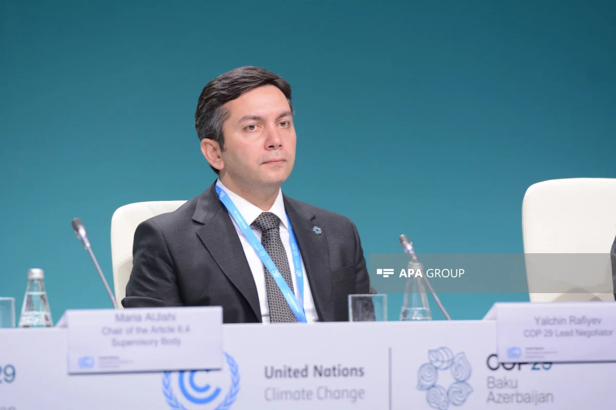 Yalçın Rəfiyev: COP29da iştirak edən və razılığa gəlmək istəyən bütün tərəflərlə işləməyə hazırıq