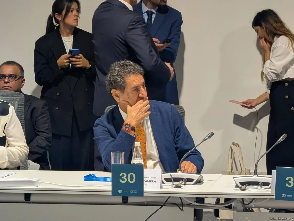 COP29 организована на высшем уровне гендиректор IRENA