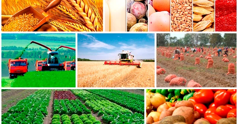 İnnovativ kənd təsərrüfatı Azərbaycanın ərzaq idxalından asılılığını azalda bilər İQTİSADÇI EKSPERT AÇIQLADI