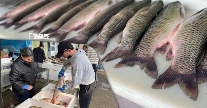 Ət əvəzinə hamı balıq alır Bazarda SON QİYMƏTLƏR