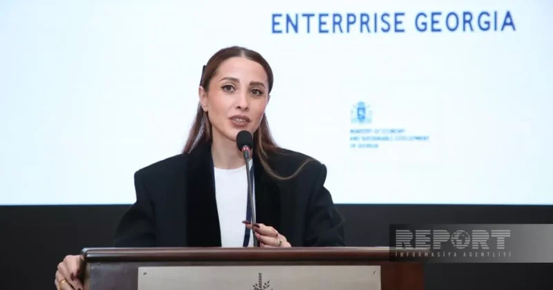 Кетеван Кебуладзе: Ж/д линия Баку Тбилиси Карс значительно увеличит пропускную способность