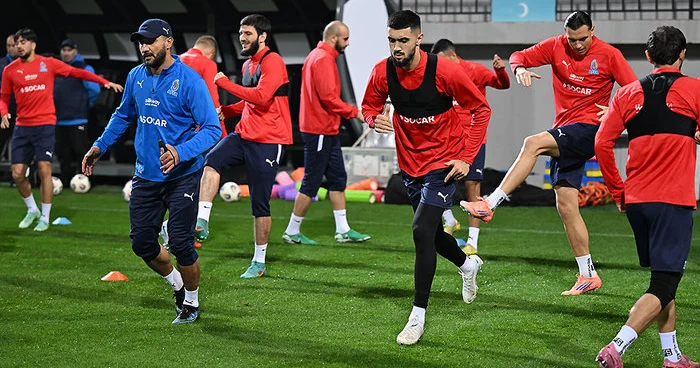 Милли готова к Исландии