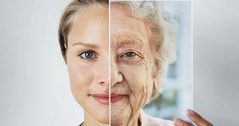 “Həyatda yaşlanmanın sürətləndiyi iki əsas dövr“ Elmi tədqiqat