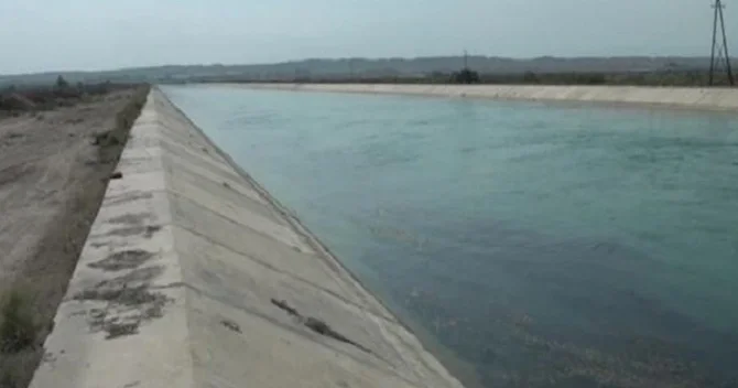 Maştağadakı Abşeron suvarma kanalında minlərlə balığın ölümü araşdırılır