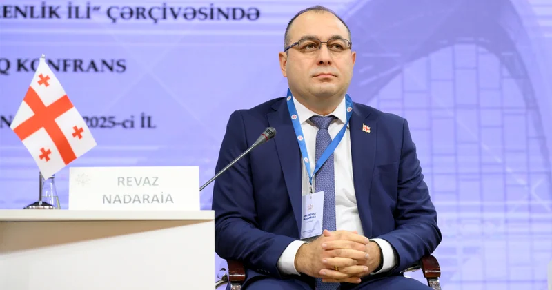 Revaz Nadaraya: Gürcüstan və Azərbaycan Konstitusiya məhkəmələri arasında güclü əməkdaşlıq ənənəsi yaranıb