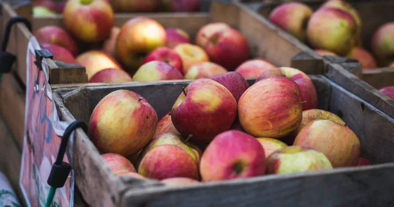 Almaları səhər yeməyindən əvvəl yemək daha faydalıdır