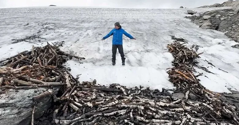 Dünyanın ən qədim tələsini tapıblar