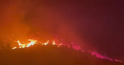 Ливан охватили лесные пожары ВИДЕО