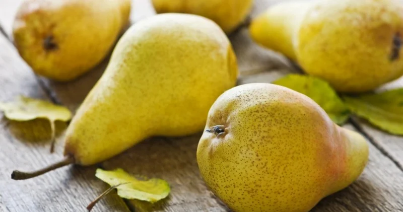 Azərbaycan 4 ölkəyə armud satmağa başlayıb