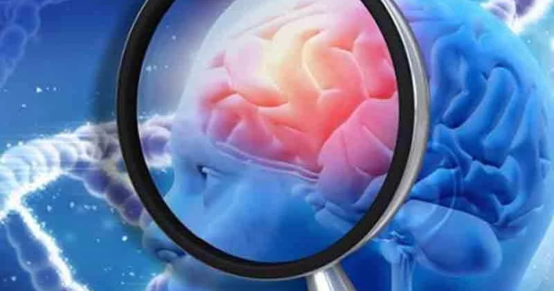 Bu vərdiş beyni 8 il gəncləşdirir alimlərdən maraqlı açıqlama