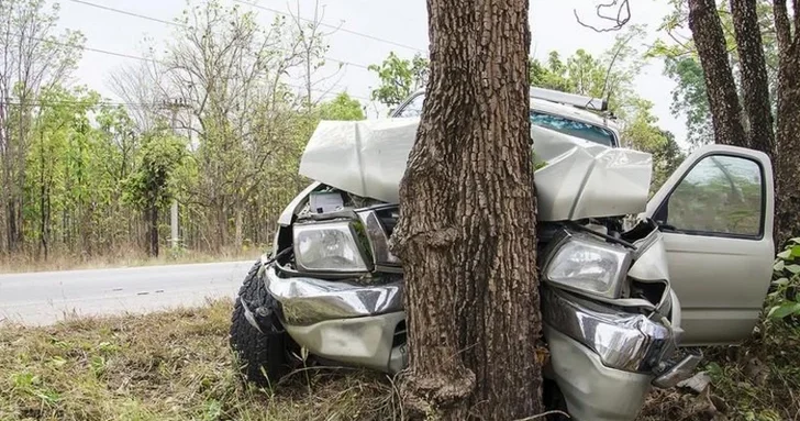 В Гёйгёльском районе автомобиль влетел в дерево, есть пострадавшие