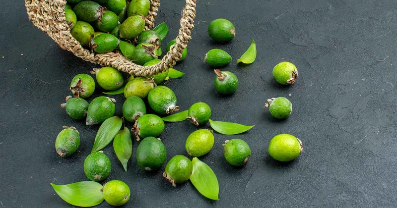 FEYXOANIN FAYDALARI VƏ ZƏRƏRLƏRİ