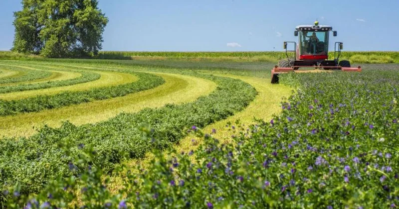 Ölkədə kənd təsərrüfatının inkişafı vacibdir İqtisadçı