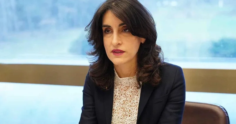 Boçorişvili: “Gürcüstana yönəlmiş tənqid əsassızdır“