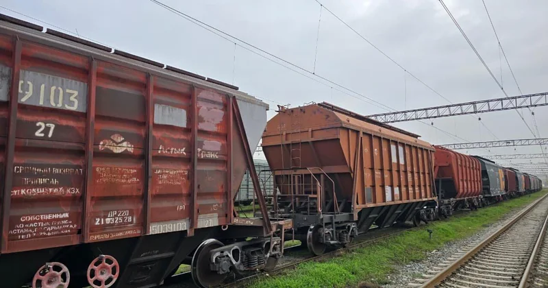 Армянские страсти по казахстанской пшенице АНАЛИТИКА от Лейлы Таривердиевой