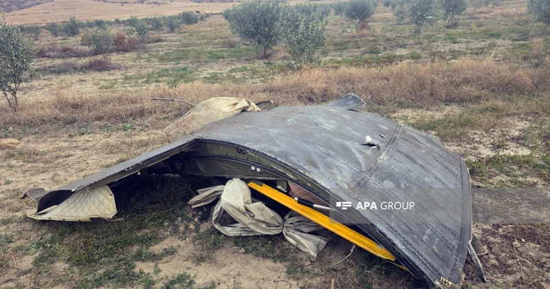 Ərdoğan təyyarə qəzası ilə bağlı Türkiyə vətəndaşlarını dezinformasiyaya qarşı ayıq olmağa çağırıb