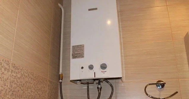 Evində pitiminutka olanlar DİQQƏT: Bunları mütləq bilməlisiniz