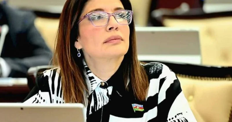 “Bu il dövlət büdcəsində kino sahəsinə vəsaitin ayrılmaması müəyyən narahatlıq doğurur” Günay Əfəndiyeva