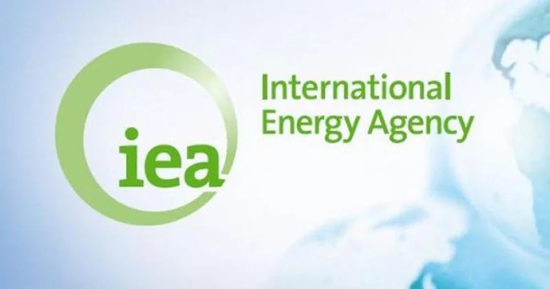 BEA: 2050 ci ilədək neft və qaza qlobal tələbat artacaq