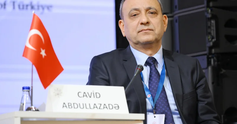 Ankara Universitetinin professoru: Konstitusiyalar dövrün tələblərinə uyğunlaşdırıla bilər