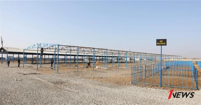 На рынках живого скота в Азербайджане усиливают санитарно гигиенические меры ФОТО ВИДЕО