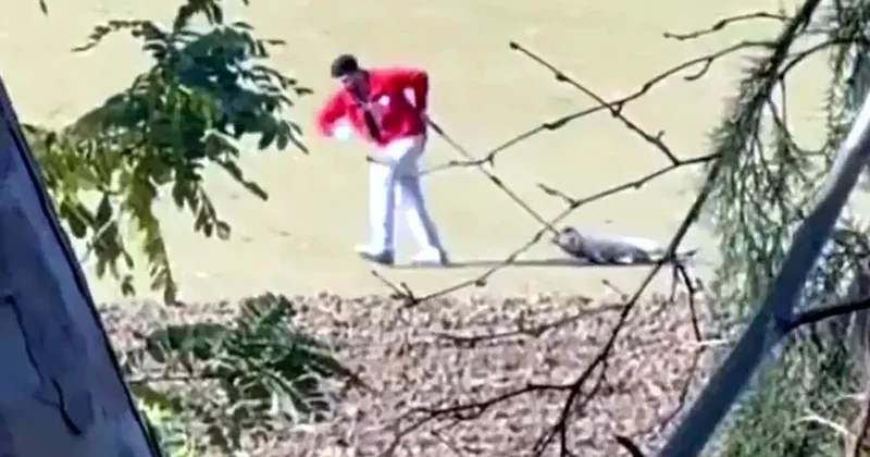 İtə işgəncə verən şəxs saxlanılıb