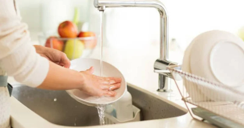 Hər evdə var Başdan ayağa mikrob yuvasıdır