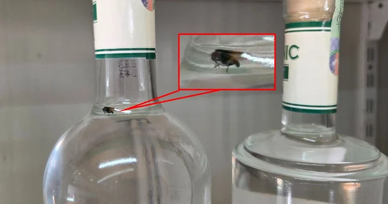 АПБА обнаружило поддельную водку с мухами Minval Politika