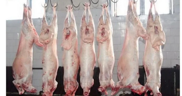 Monqolustandan gətirilən ət xəstəlik yarada bilər MÜTƏXƏSSİS XƏBƏRDARLIQ ETDİ VİDEO