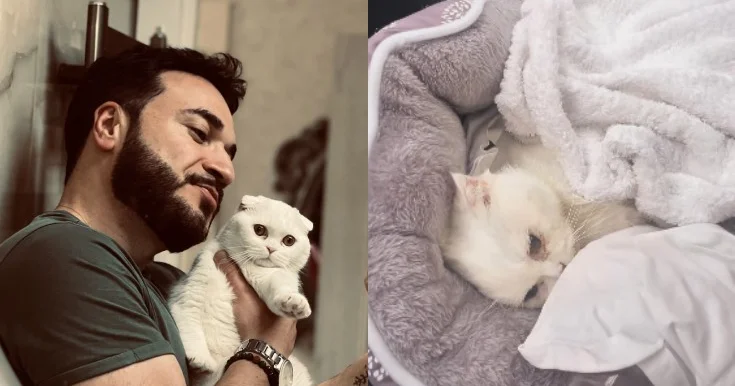 Həkim məsuliyyətsizliyinə görə pişiyim öldü