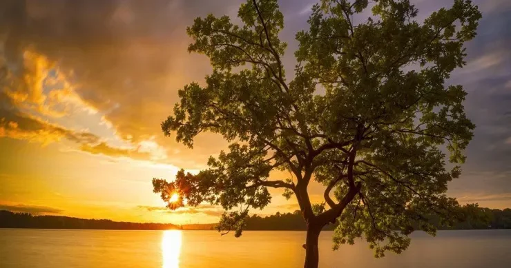 Noyabrda belə hava olmayıb Sabahın PROQNOZU