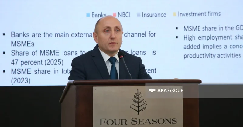 AMB: Azərbaycanda KOB ların əlavə dəyər yaratmaq qabiliyyəti aşağıdır