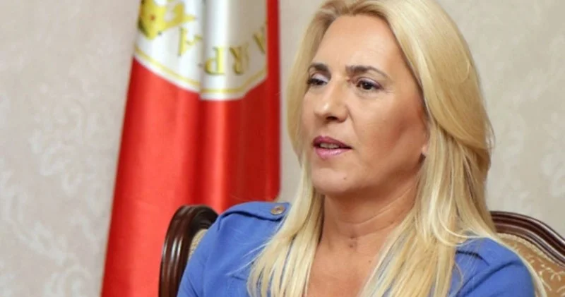 Bosniya rəsmisi: Azərbaycanla sıx əməkdaşlıq hədəfimizdir