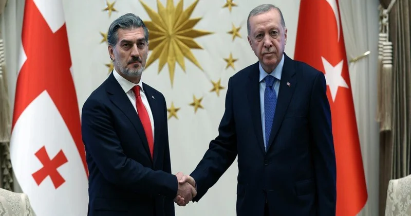 Эрдоган провёл телефонный разговор с Кавелашвили